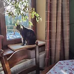1bed - Sleeps 4 - Terrace Pets Parking Rzeszow