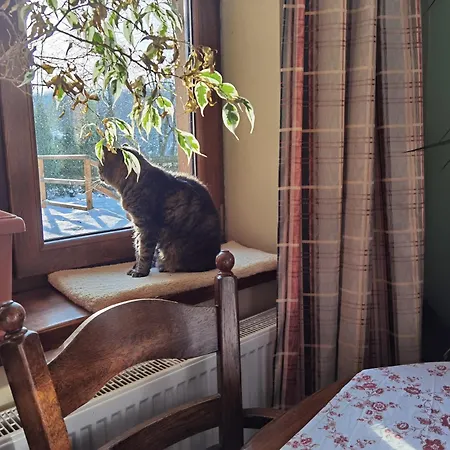 1bed - Sleeps 4 - Terrace Pets Parking Жешув