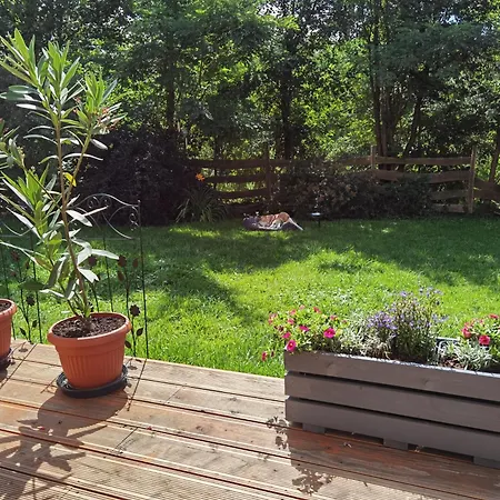 1bed - Sleeps 4 - Terrace Pets Parking