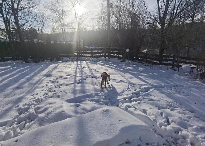 Apartmán 1bed - Sleeps 4 - Terrace Pets Parking Rzeszów