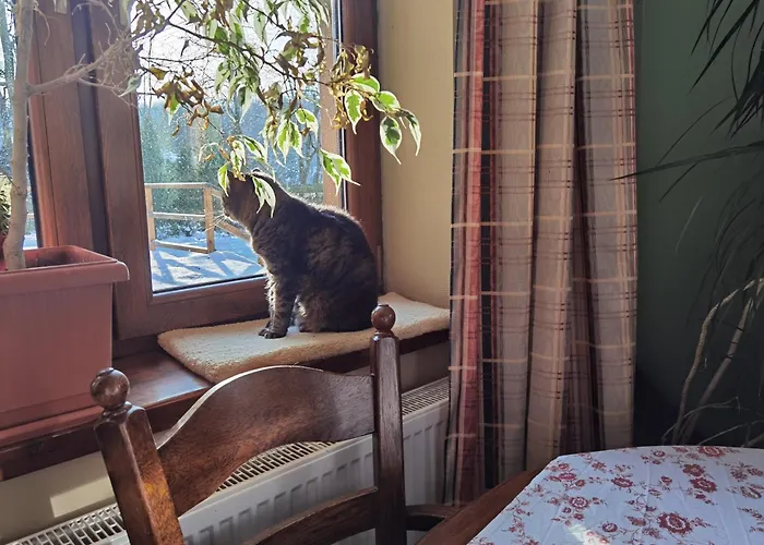 1Bed Apartment - Sleeps 4 - Terrace Pets Parking Rzeszów