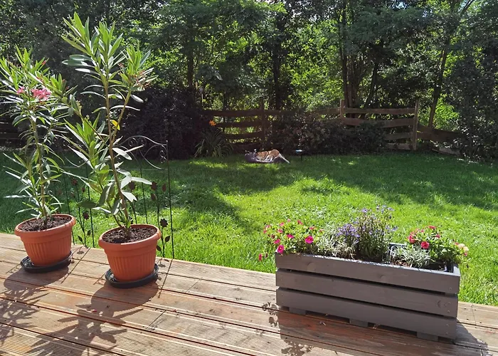 1Bed Apartment - Sleeps 4 - Terrace Pets Parking